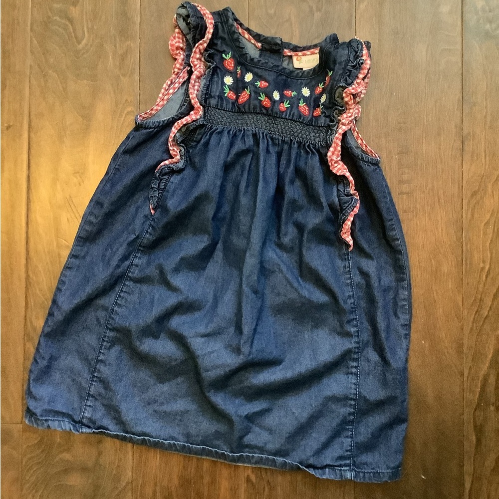 EUC Gillian’s Closet Denim Gingham Strawberry Dress Ruffle Button 4T